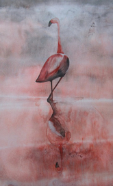 Ощущение полной гармонии. Розовые мечты