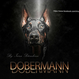 Doberman