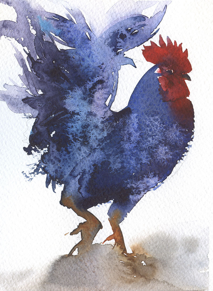 "Синий петух"