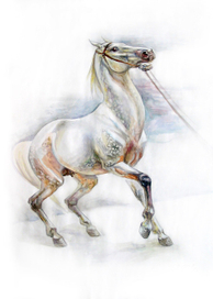 Испуганная лошадь