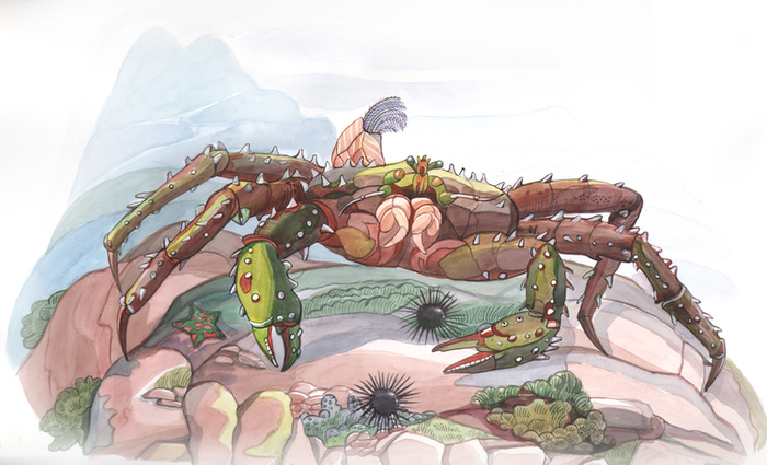 краб камчатский