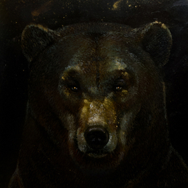 Бурый медведь