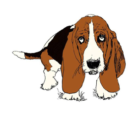 Компьютерная графика