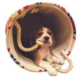 Биглюша в корзинке