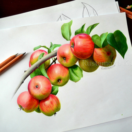 Фрукты. Яблоки