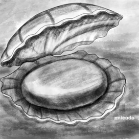 Морской гребешок