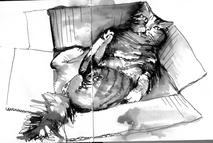 Котик в коробочке - 5