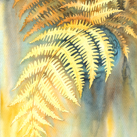 Осенний папоротник