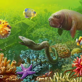 Коралловые рифы