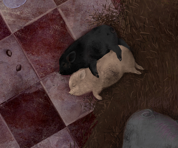 Золушка\ фрагмент