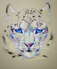 снежный барс