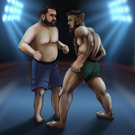 Иллюстрация к бою ММА 