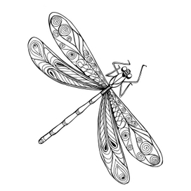 Стрекоза в полете. Граыика