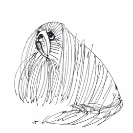 Зибюдуська