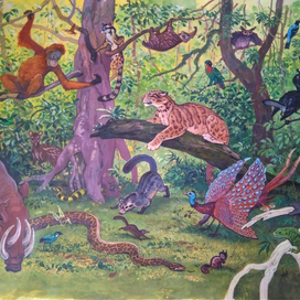 илл. из книги "На поиски животных" (Юго-Вост. Азия)