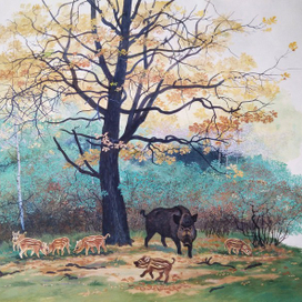 Илл. к рассказам и сказкам о природе В.Зотова (4)