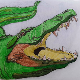 Крокодил
