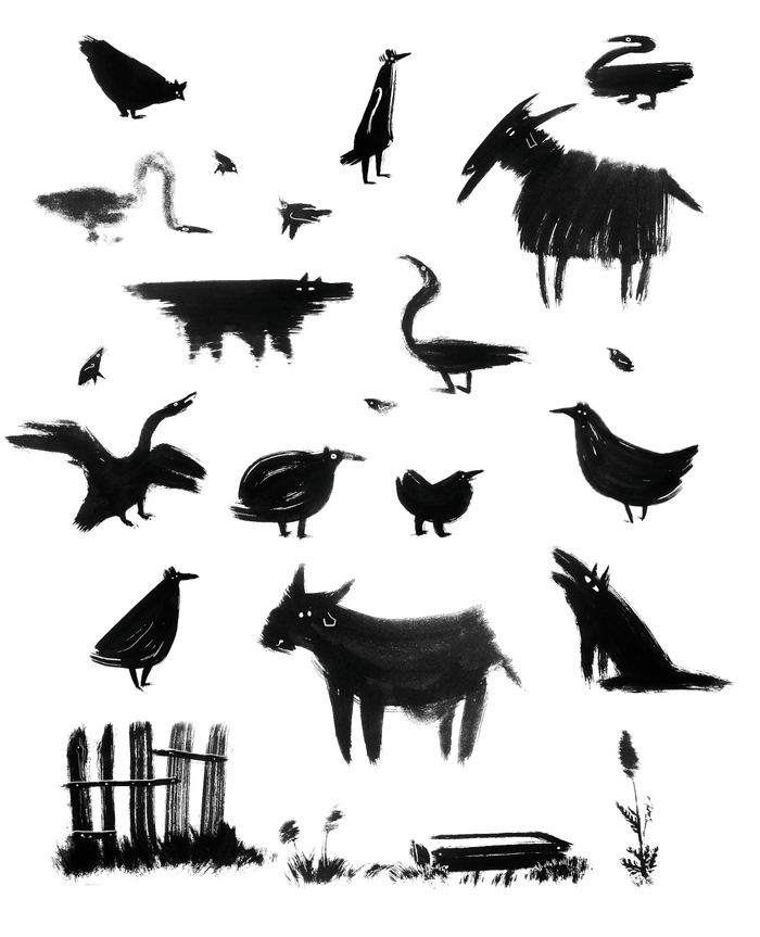 домашние животные