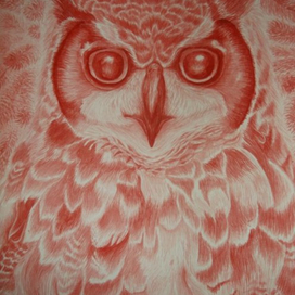 Филин. Серия Красная книга