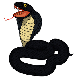 black  king cobra with fangs vector illustration