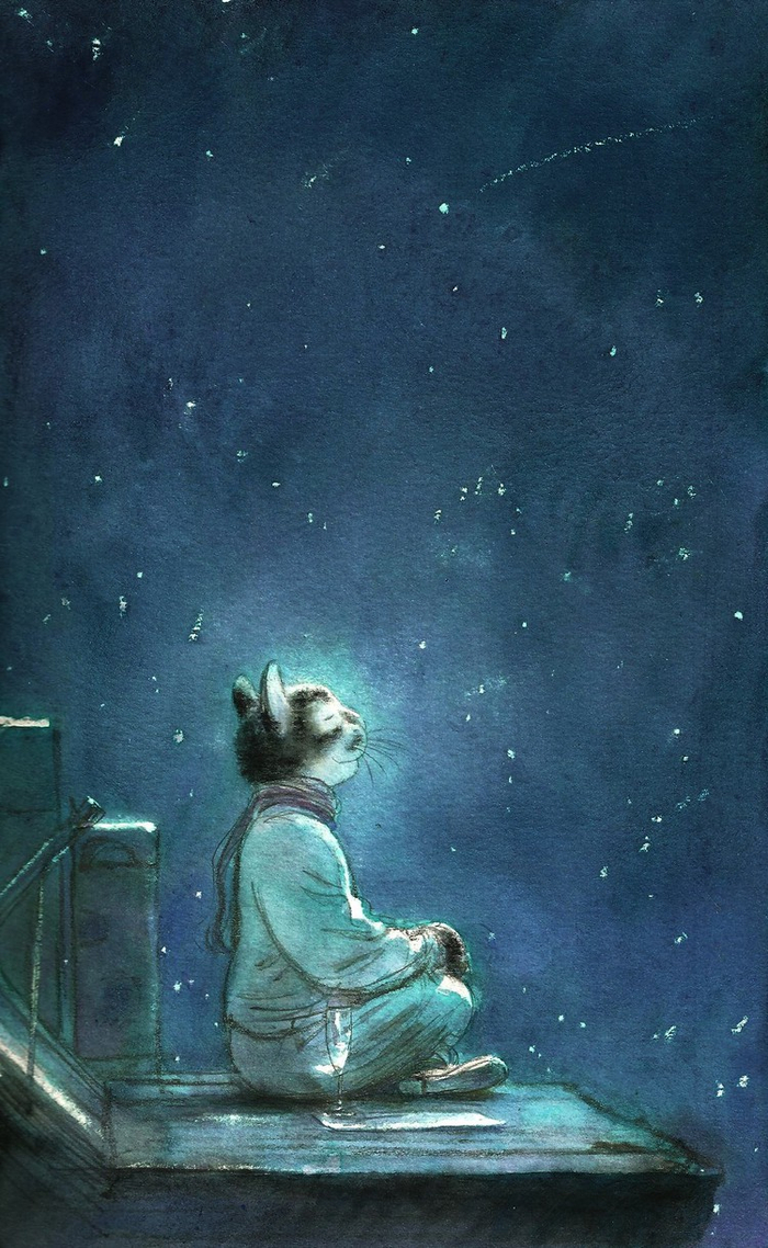 ночной эфир