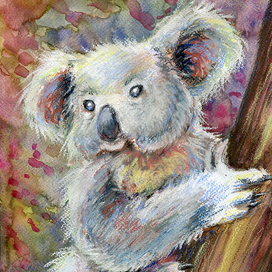 Коала пастелью