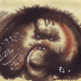 без названия