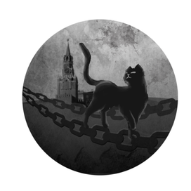 Кот политический