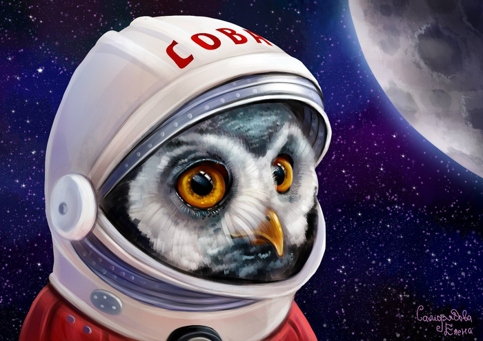 Совелий Гагарин