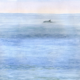 "Утренний гость"