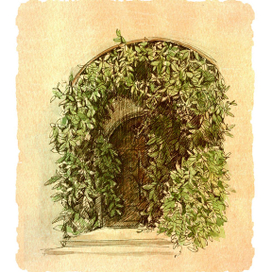 Дверь, обвитая плющом, зарисовка