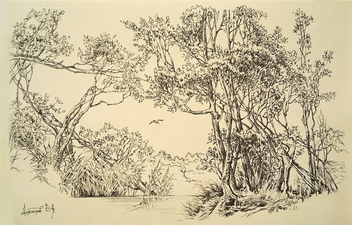 Пейзаж у реки