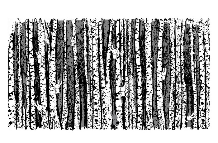 Зайцы на березах