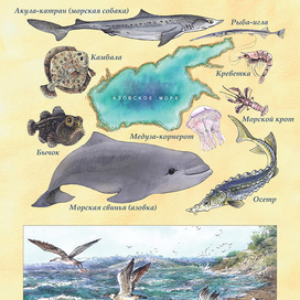 "Азовское море"