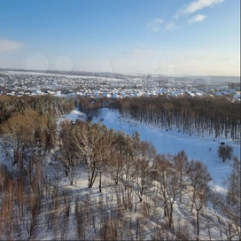 Ноксинский Лес