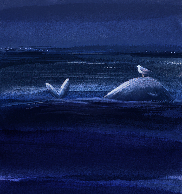 Длина волны.