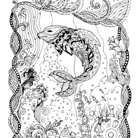 Дельфин зен