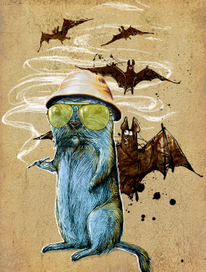 гонзо сурок