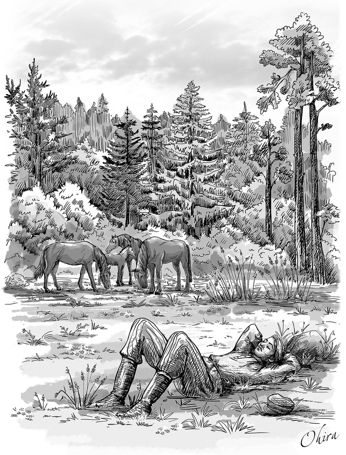 к сборнику рассказов Толстого