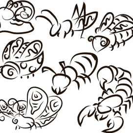 Коллекция насекомых - векторный силуэт