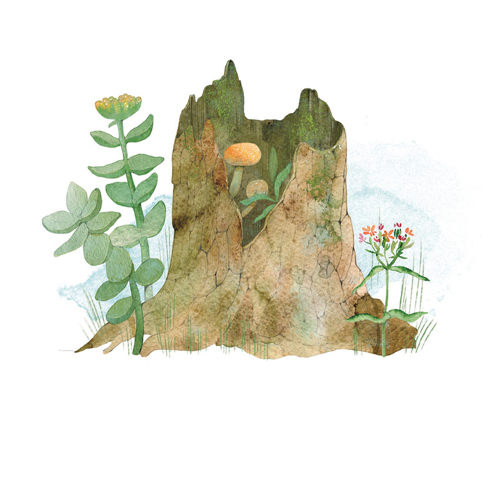 "Совиный волк"