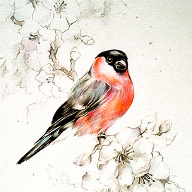 Весенний снег