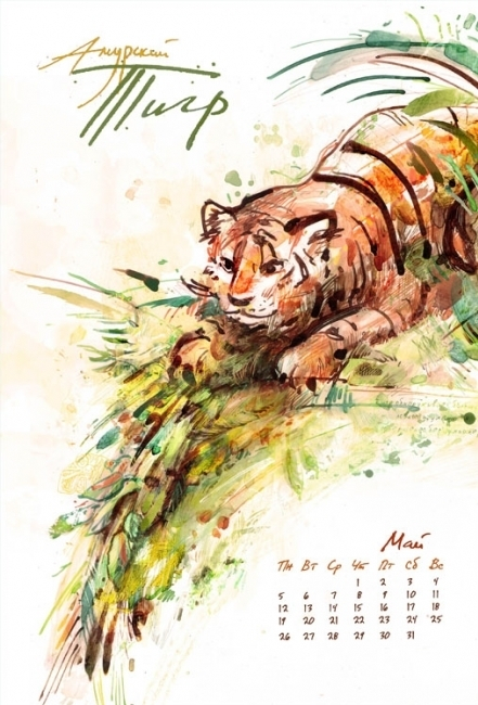 Амурский тигр