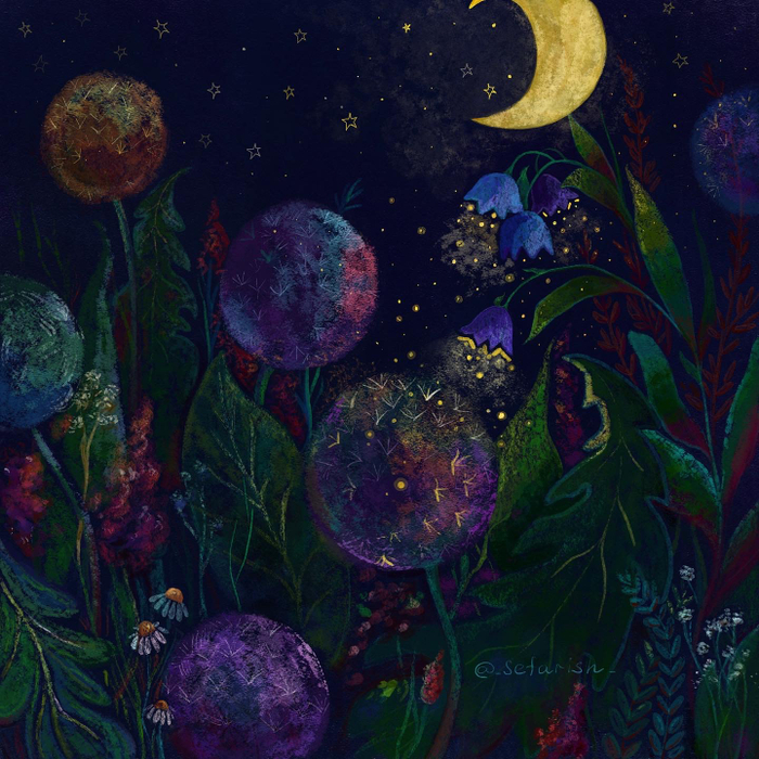 Летняя ночь 