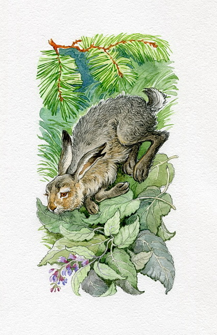 К.Паустовский "Заячьи лапы" 2