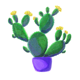 Кактус 3