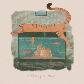 Приключения кота