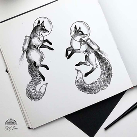 Лисы космонавты 