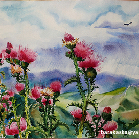 Гроза на Чике-Таманском перевале