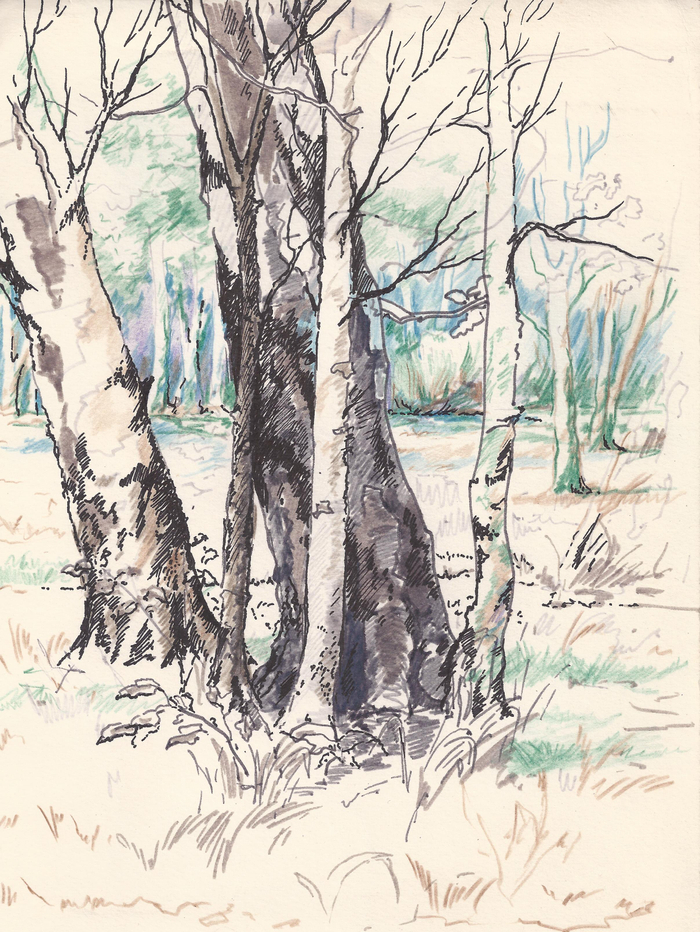 зарисовка с натуры